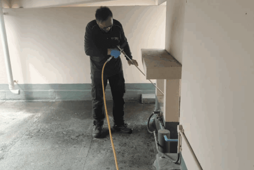 building-pest-inspection