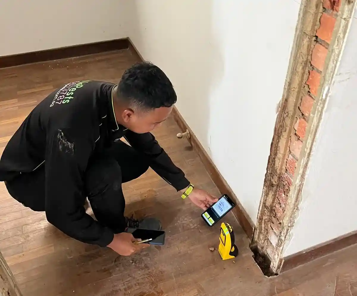 termite control johor bahru