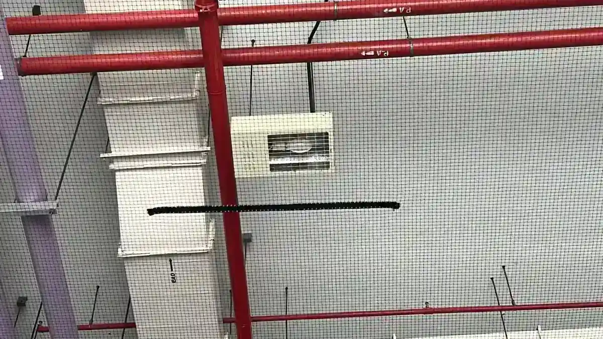 cockroach control service