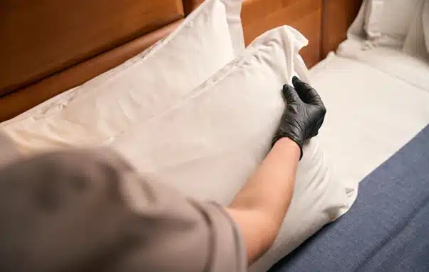 bed bugs pest control services near me