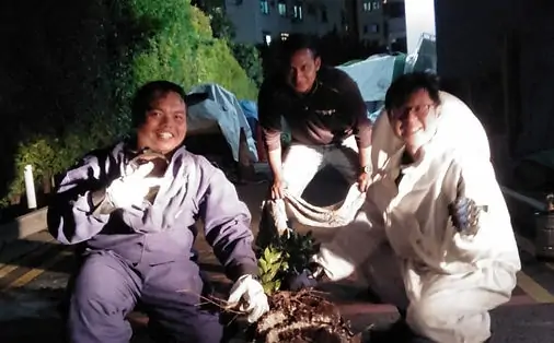 bees-control-service