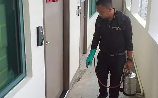 cockroach-pest-control-services