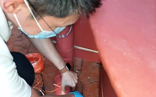 rat-control-services