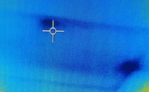 rodents-control-malaysia