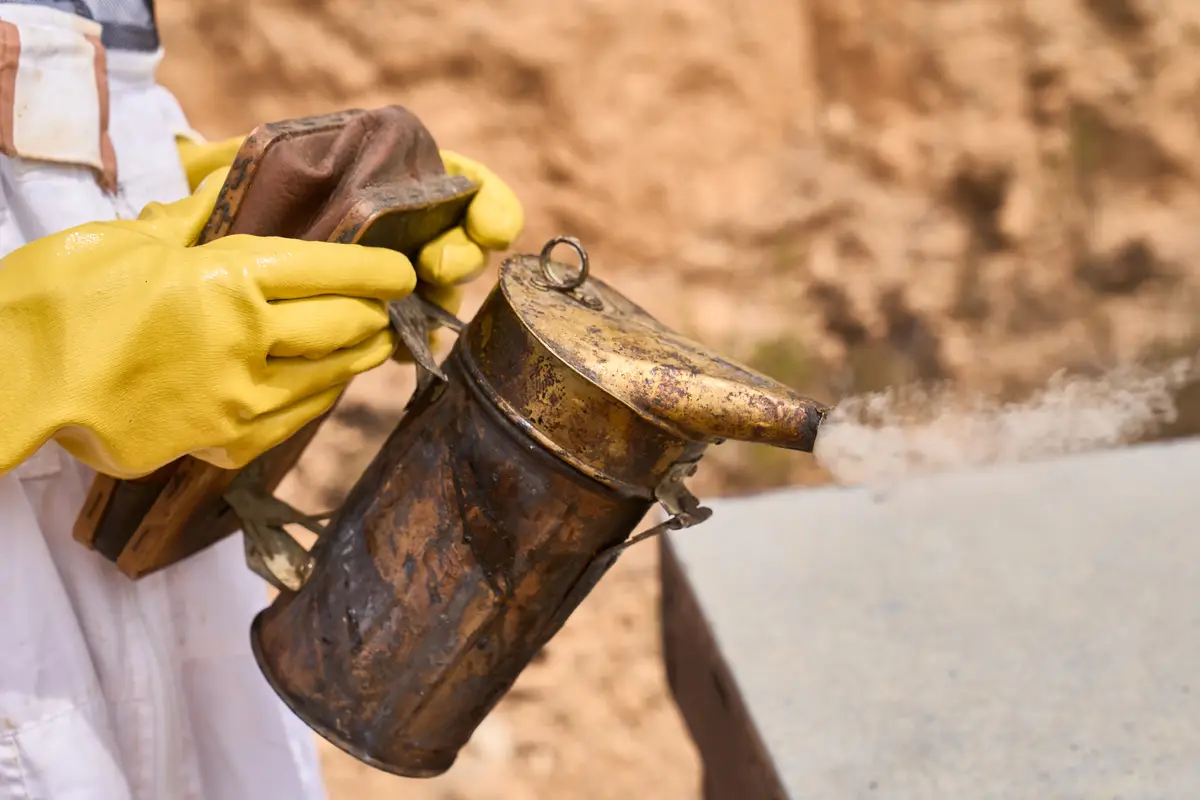 termites control Service