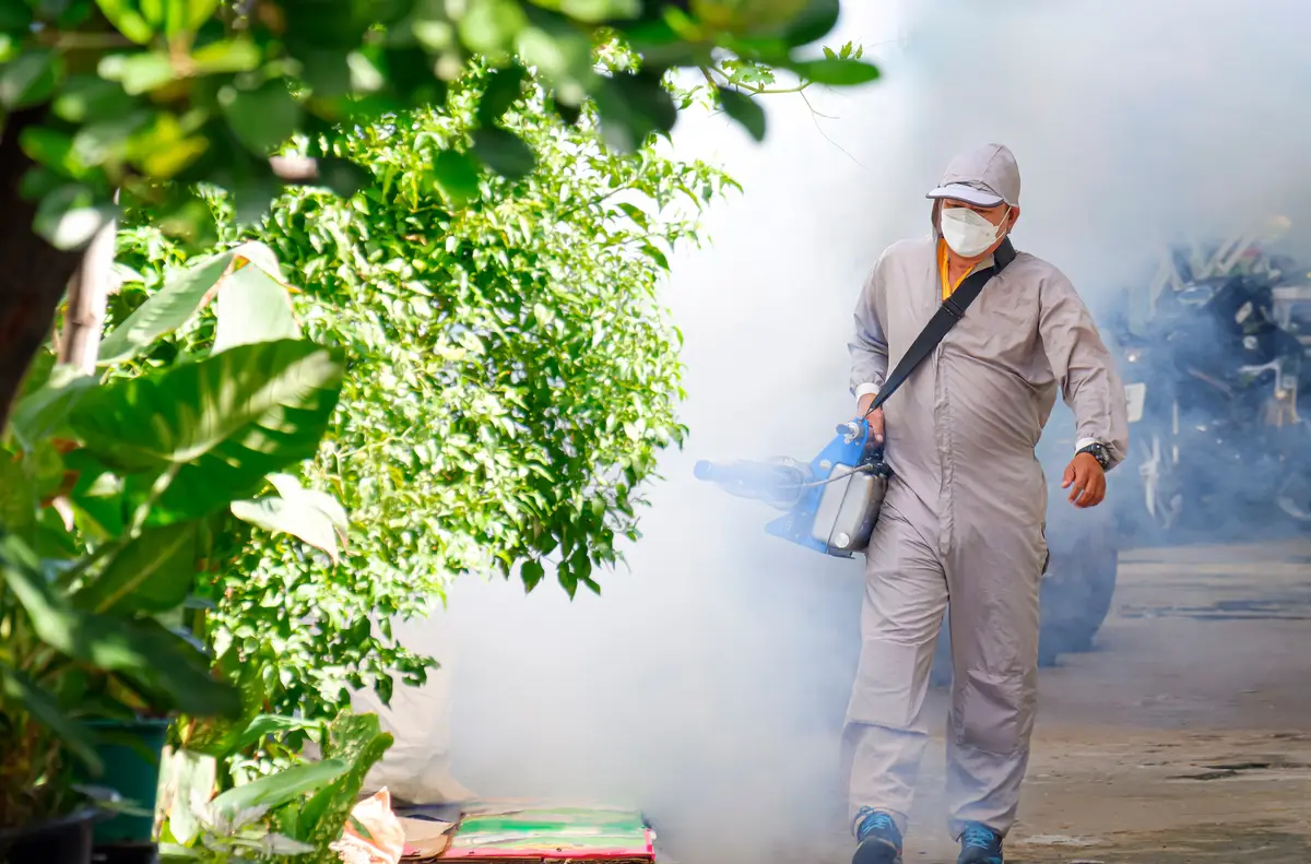 Eco-friendly pest control in Malaysia | 1800NoPests