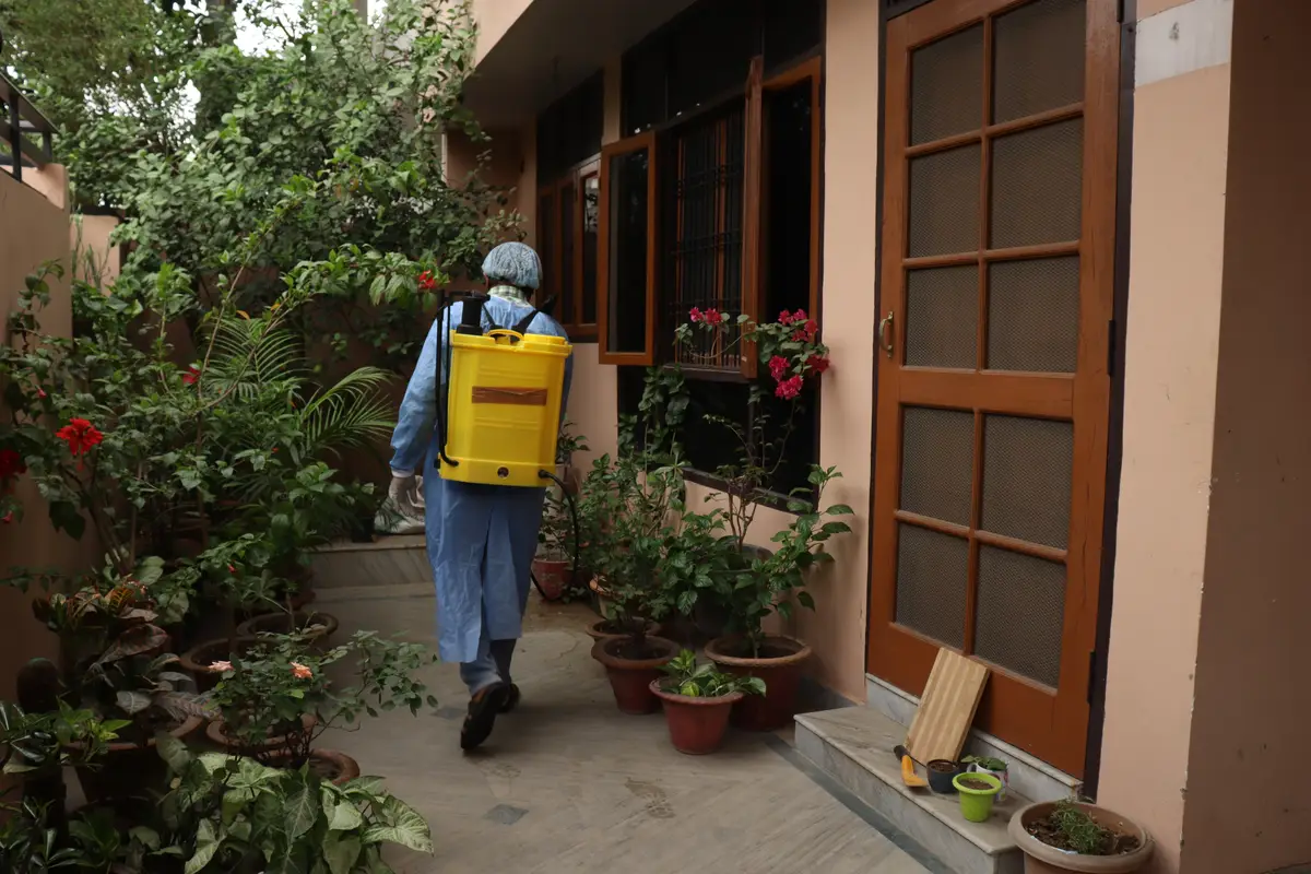 pest control for bees