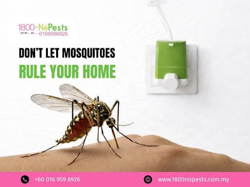 Best mosquito control service by 1800NoPests Malaysia