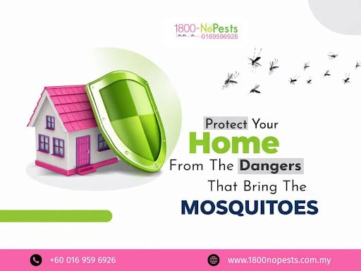 Home mosquito treatment service by 1800NoPests Malaysia