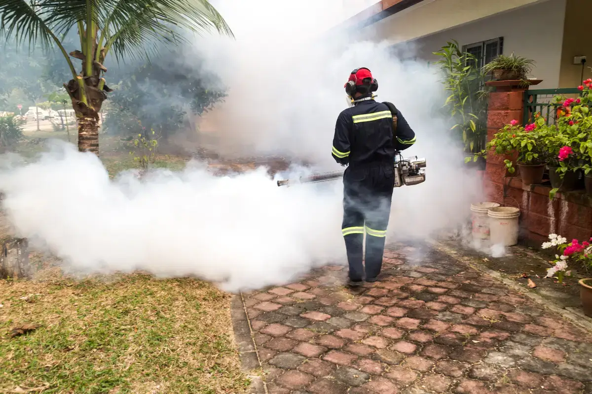 home-mosquito-treatment