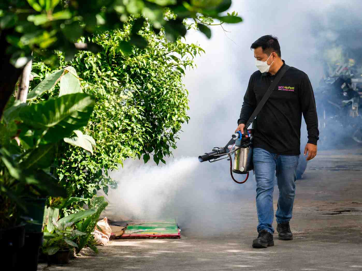 Eco friendly pest control in Malaysia | 1800NoPests